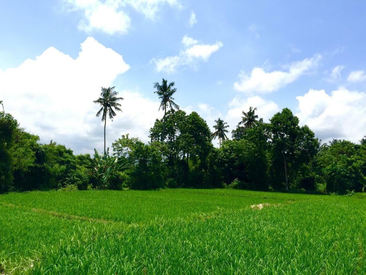 Villa Santai Ubud Dış mekan fotoğraf